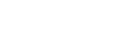 Scale Protection
